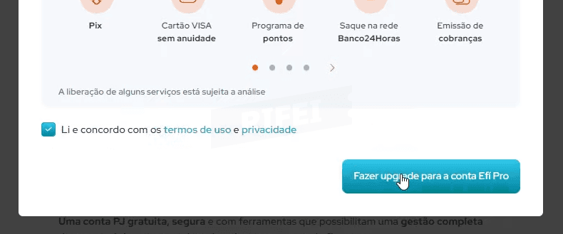 imagem efi para negocios